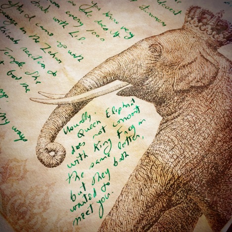 Letter from Rachel Pollack (Photo: Camelia Elias)